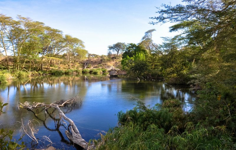 https://www.kws.go.ke/tsavo-west-national-park