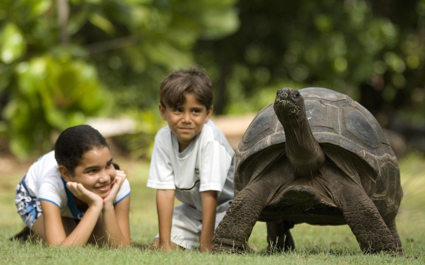 Tajemný ostrov Aldabra